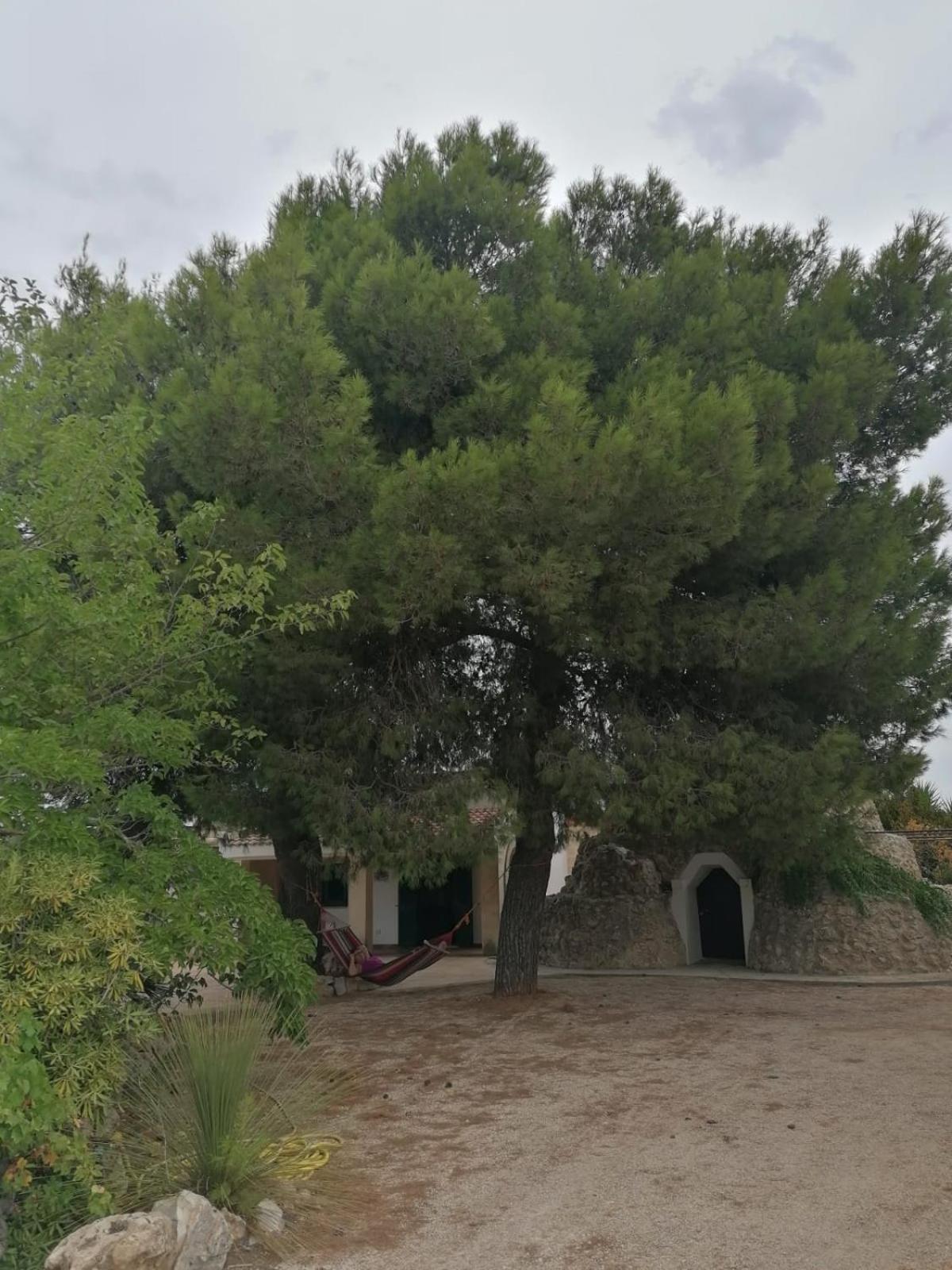 Villa Principe Degli Olivi 玛鲁吉奥 外观 照片